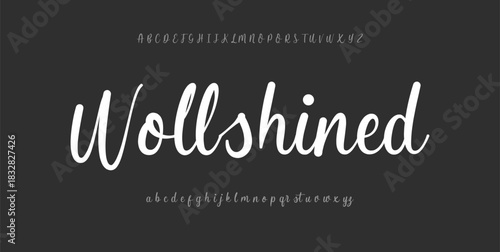 Beauty Luxury font alphabet logo. Typography beautiful fashion elegant classic letters serif italic fonts decorative wedding vintage retro logos. vector illustration