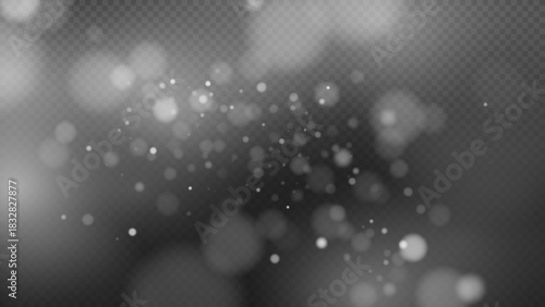 Gentle falling snow light effect overlay.