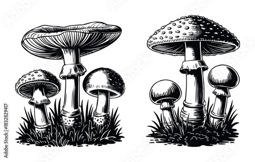 Two black and white line art compositions featuring clusters of mushrooms with detailed caps and stems growing in grass, perfect for nature themes and occult aesthetics.