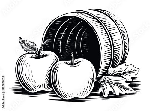 Farm fresh apples and wooden barrel rendered in a classic woodcut style, perfect for harvest, autumn, or farmthemed projects and promotions.