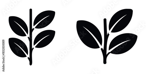 Minimalist black plant branches with leaves symbolizing growth and nature for botanical graphics and organic branding applications