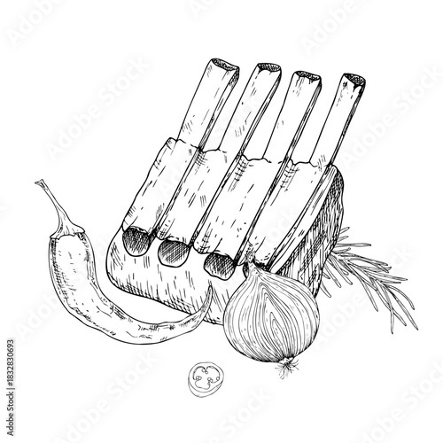 Vector composition with meat on the ribs with red pepper, onion, rosemary. Graphic ink pork or beef illustration, isolated on background. Hand drawn line sketch. For designers, prints, logo, icon