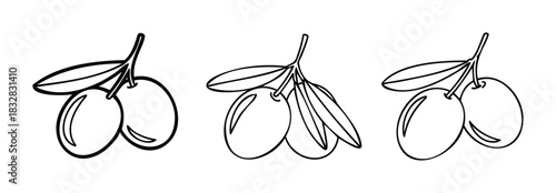 Simple line drawings of olive branches with olives and leaves in three different styles for healthy food and natural product use.