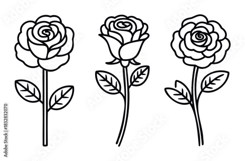 Three stylized roses in a linear outline style, perfect for floral graphics, invitations, and decorative projects conveying natural elegance and bloom.