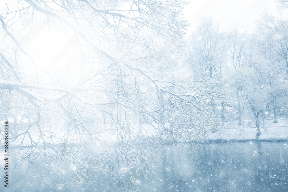 Fototapeta premium Snowy winter background in the park, blurred abstract seasonal backdrop, snowflake texture, light landscape background