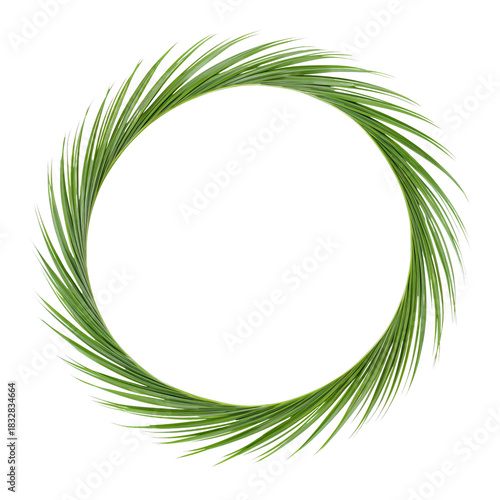 Circle of Green Palm Leaves Forming a Natural Frame for Creative Designs in V...