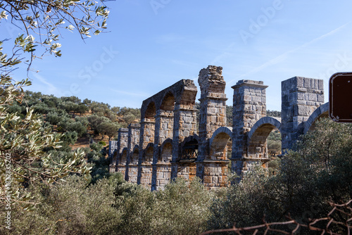 Ancient stone aqueduct surrounded by olive trees under a clear blue sky.