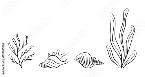 Oceanic treasures and flora depicted in a simple line drawing style, perfect for marinethemed projects and abstract underwater scenes