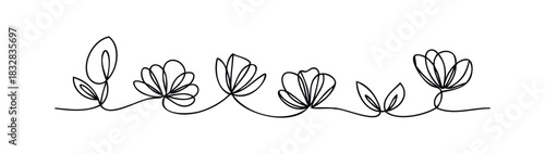 Continuous line drawing of delicate flowers and leaves creating a horizontal decorative border for organic natural botanical themes and floral designs.