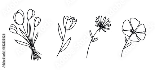 Simple line drawings of various flowers, including a bouquet of tulips, a single tulip, a daisylike flower, and a poppy, perfect for creating delicate botanical graphics and springthemed