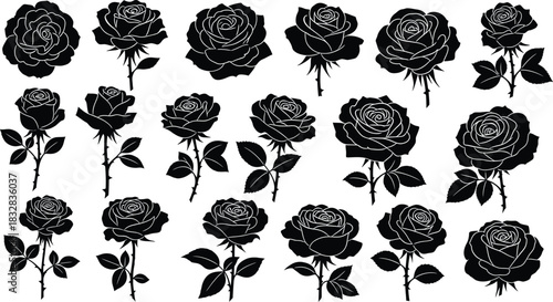 Collection of detailed black silhouette illustrations of various rose flower heads and stems
