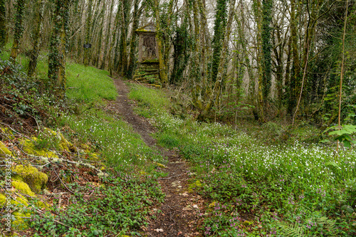 Bidegorri route in As Pontes de Garcia Rodriguez, A Coruña: a natural area for mountain biking, hiking, or spending an unforgettable day with the family near a unique artificial lake.