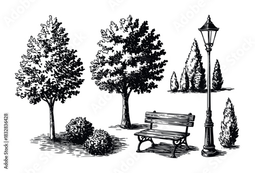 Black and white sketch of park elements including trees, bushes, a bench, and a lamppost, perfect for landscape architecture or garden design concepts.