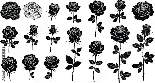 Collection of black and white rose silhouettes and drawings in various stages of bloom