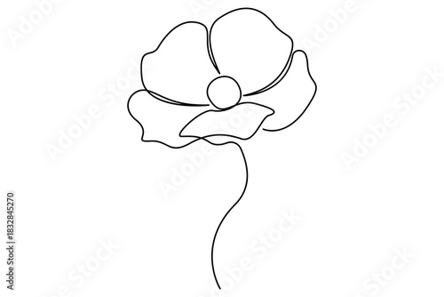 Poppy flower simple continuous line art botanical outline on clean white background.Poppy flower elegant continuous one line drawing modern minimalist floral outline vector.