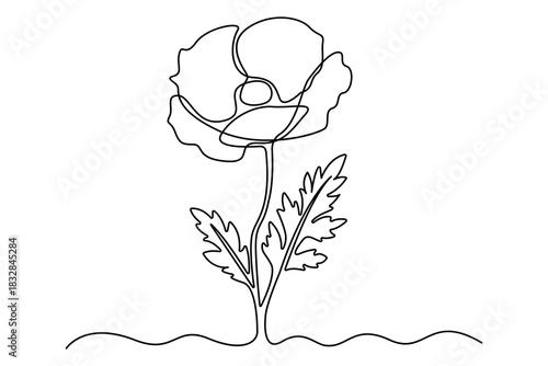 Poppy flower artistic continuous one line outline minimalist botanical illustration.Poppy flower abstract continuous one line drawing clean minimalist floral outline vector.