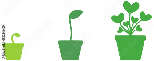 Three potted plants showing growth stages seedling