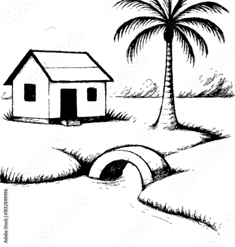 palm trees and house
