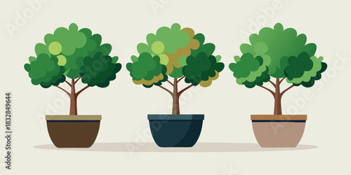 Three potted trees with green foliage in different colored pots on a light background art
