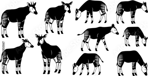 Okapi animal silhouettes, Okapi, Okapi silhouettes, Okapi animal, Okapi clipart, Okapi animal vector set