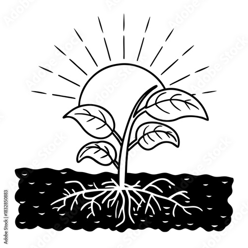 Seedling growing in soil with sun and rays in minimalist style  