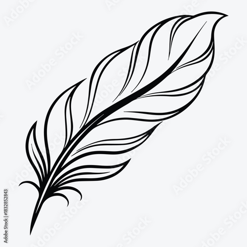 Simple Feather Graphic On White