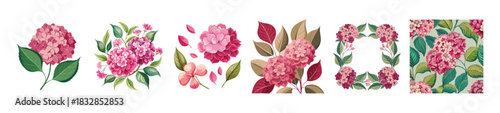 Deep Pink Hydrangea Vector Set: Watercolor Floral Graphics with Stylized Flowers, Leaves, Square Frame, Petals, and Seamless Pattern for Summer Wedding and Design