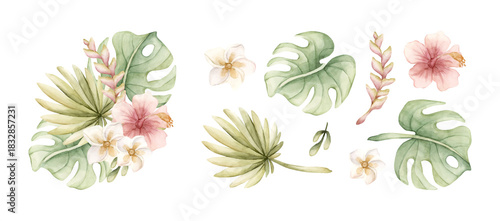 Tropical Hibiscus Plumeria Heliconia Monstera leaves. Exotic African jungle pink flowers plants. Watercolor hand painted summer floral isolated illustration on white background cute kids nursery baby