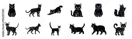 Set of black cat icons showcasing diverse breeds and postures like sitting, walking, and stretching. Perfect for felinethemed logos and veterinary symbols.