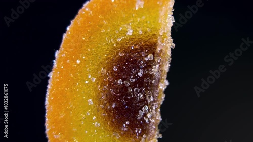 Dried Apricot or Peach flavored Gummy Candy rotating. Macro view of orange and brown marmalade with sugar crystals. Cola flavor concept.