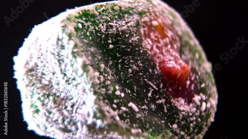 Stuffed Green Marmalade Candy with Red Jam Center rotating on black. Macro shot of Turkish Delight style sweet coated in Coconut flakes. Kiwi and Strawberry flavor roll.