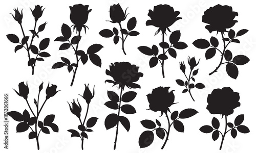 Collection of elegant black rose silhouettes with stems and leaves showcasing various stages of bloom silhouette