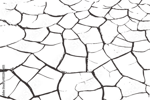 High contrast black and white cracked earth texture