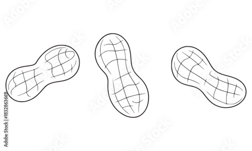 Three line art peanuts on white background food snack