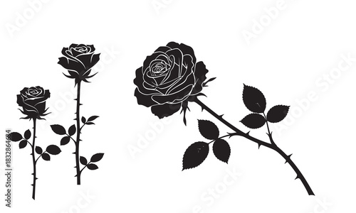 Elegant black rose silhouettes with thorny stems and leaves on a white background vector art silhouette