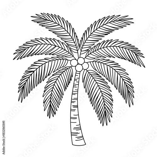 A stylized black and white drawing of a coconut palm tree with its fronds spread wide.