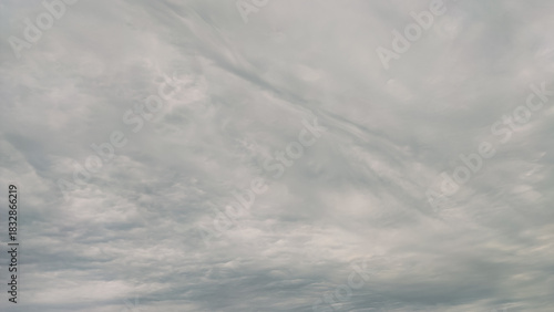 Overcast sky background with dramatic gray and white storm clouds.