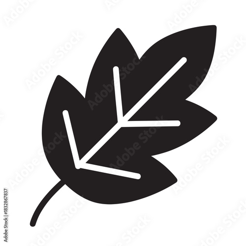 Oak leaf icon simple flat vector glyph isolated on white background for nature and autumn designs