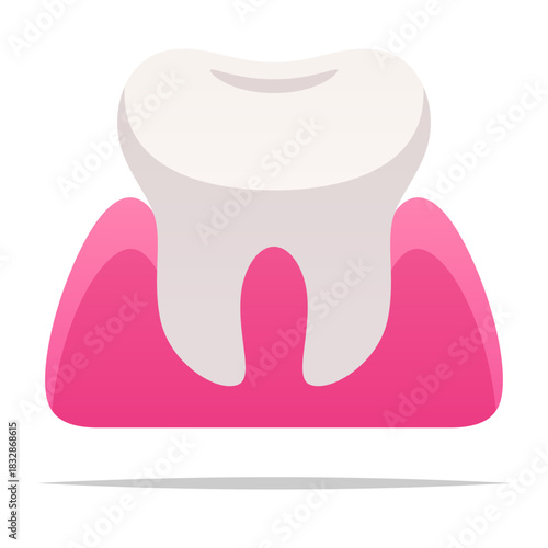 Molar tooth in gum vector isolated illustration