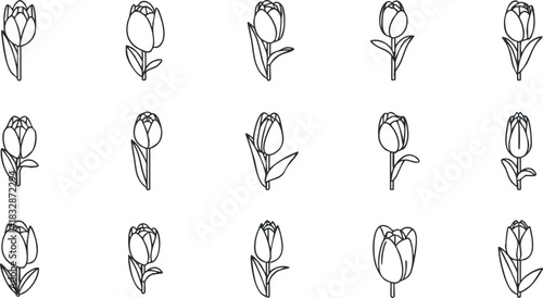 Stylized line art vector illustration of tulip flowers in a minimalist design, ideal for botanical patterns and decorative projects