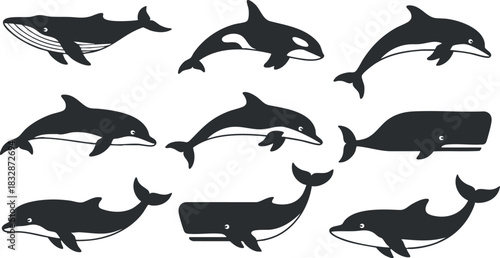 Set of playful black and white vector illustrations featuring various whale and dolphin species for ocean-themed designs