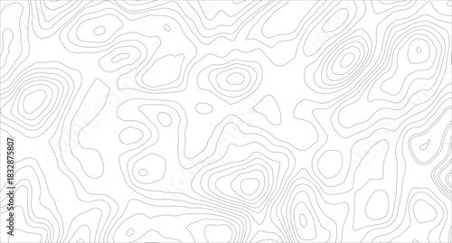 Topography background. Vector banner. Topography background. Vector geographic contour map. Background of the topographic map. Topographic map lines, contour background.	