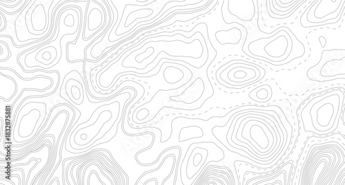 Topography background. Vector banner. Topography background. Vector geographic contour map. Background of the topographic map. Topographic map lines, contour background.	