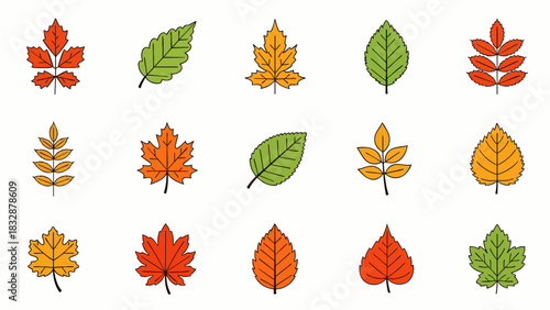 A vibrant collection of diverse autumn and green leaves, illustrated with clean outlines, showcasing nature's seasonal beauty and botanical variety.