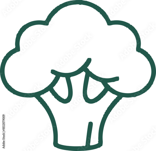 Healthy fresh green broccoli florets an important nutritious vegetable food icon