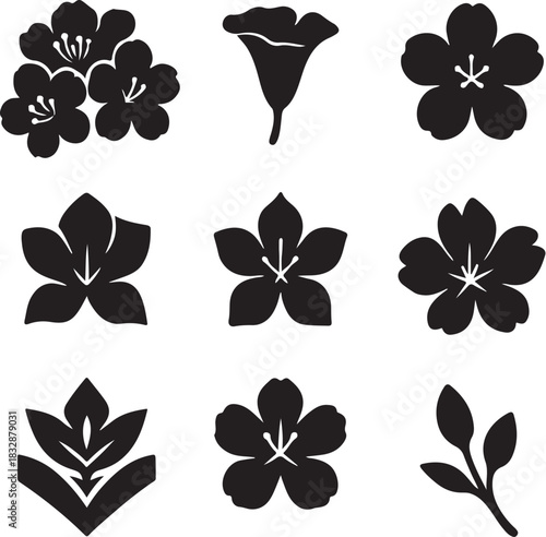 Photos Hoa do Quyen Rung Silhouette Icon Set eps