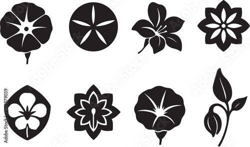Morning Glory (Hoa Bim Bim) Silhouette Icon Set 8 Designs.eps