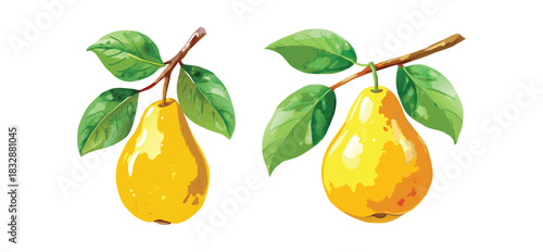 Two watercolor pears hanging from branches with vibrant green leaves on a white background
