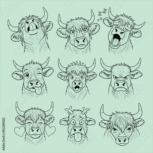 Nine highland cow face expression sketches