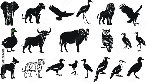 Collection of black animal silhouettes including elephant lion tiger dog duck owl and birds